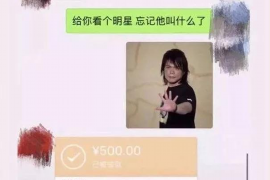 新兴专业催债公司的市场需求和前景分析