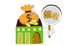 新兴新兴专业催债公司，专业催收